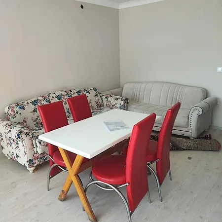 Yalova - Pininternational Project Yalova (Yalova)